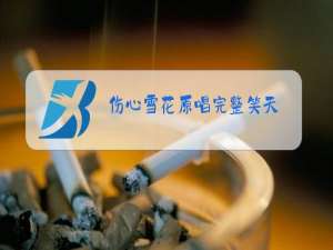 伤心雪花原唱完整笑天