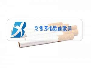 殇雪原唱歌曲歌词