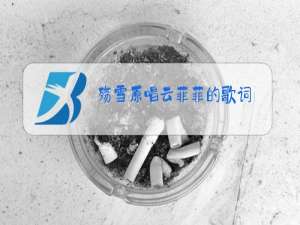殇雪原唱云菲菲的歌词