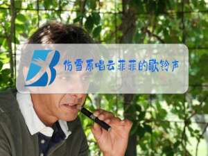 伤雪原唱云菲菲的歌铃声下载