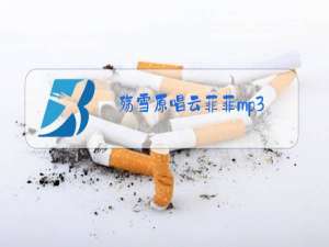 殇雪原唱云菲菲mp3