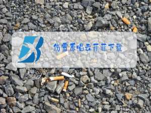 伤雪原唱云菲菲下载