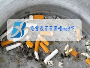 殇雪云菲菲原唱mp3下载