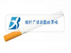 撒野广播剧歌曲原唱