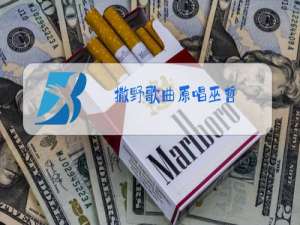 撒野歌曲原唱巫哲