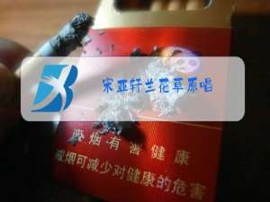 宋亚轩兰花草原唱