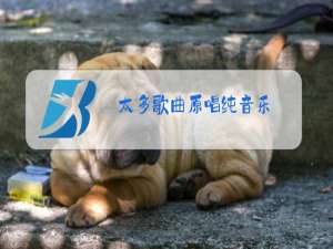 太多歌曲原唱纯音乐