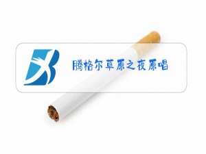 腾格尔草原之夜原唱