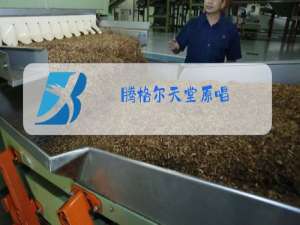 腾格尔天堂原唱