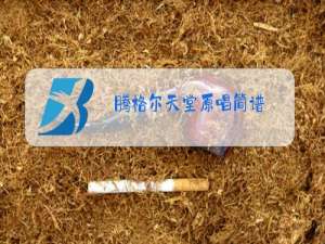 腾格尔天堂原唱简谱