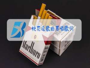 桃花运歌曲原唱歌词