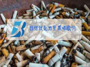 团结就是力量原唱歌词