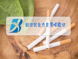 团结就是力量原唱歌谱