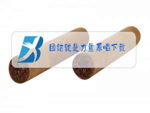 团结就是力量原唱下载