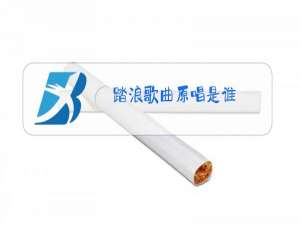 踏浪歌曲原唱是谁?