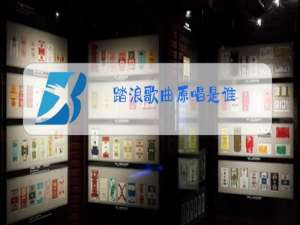 踏浪歌曲原唱是谁