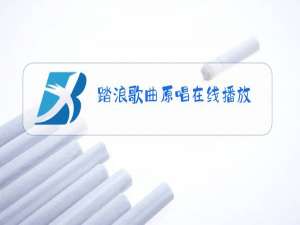 踏浪歌曲原唱在线播放