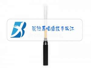 驼铃原唱播放李双江