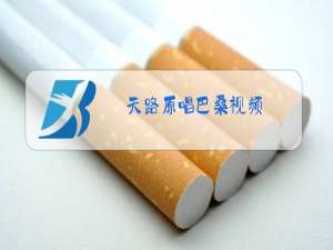 天路原唱巴桑视频