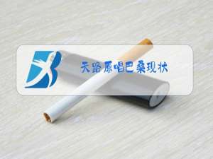 天路原唱巴桑现状