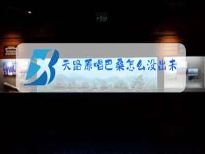 天路原唱巴桑怎么没出来唱歌