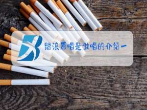 踏浪原唱是谁唱的介绍一下