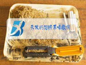 天使的翅膀原唱歌词