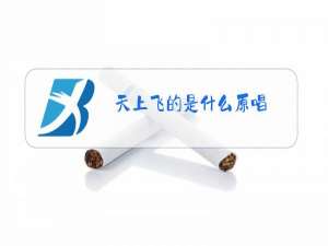 天上飞的是什么原唱
