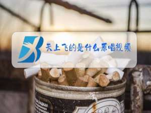 天上飞的是什么原唱视频