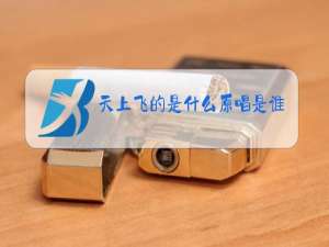 天上飞的是什么原唱是谁