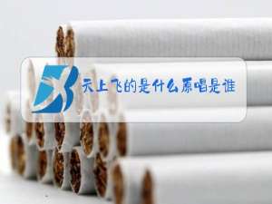 天上飞的是什么原唱是谁唱的