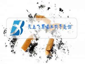 天上飞原唱二狗子是谁