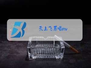 天上飞原唱mv