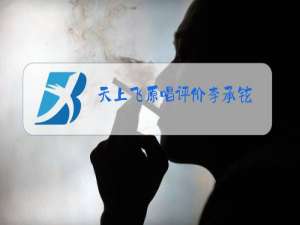 天上飞原唱评价李承铉