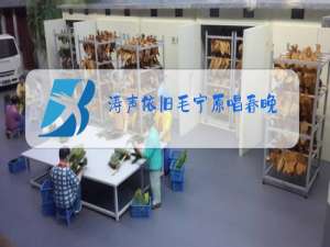 涛声依旧毛宁原唱春晚