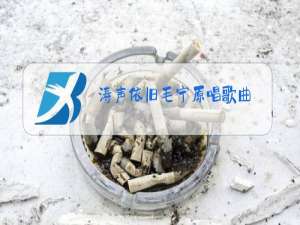 涛声依旧毛宁原唱歌曲