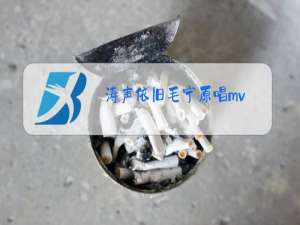 涛声依旧毛宁原唱mv