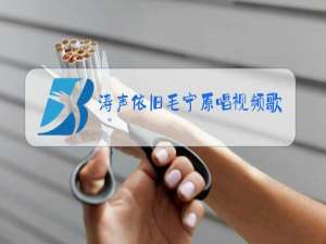 涛声依旧毛宁原唱视频歌词