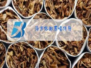 涛声依旧原唱伴舞