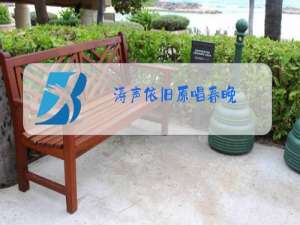 涛声依旧原唱春晚