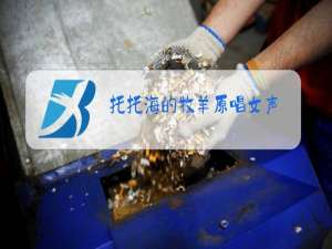 托托海的牧羊原唱女声