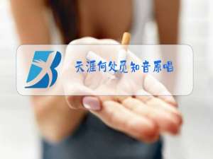 天涯何处觅知音原唱