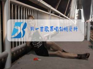 同一首歌原唱刘畅资料