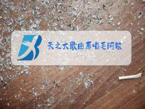 天之大歌曲原唱毛阿敏