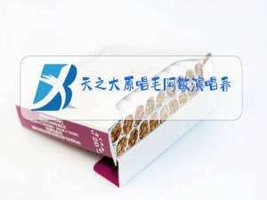 天之大原唱毛阿敏演唱春晚