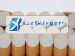 天之大原唱毛阿敏演唱毛毛阿敏今年多大了