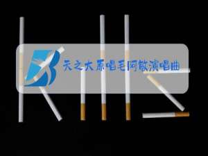 天之大原唱毛阿敏演唱曲