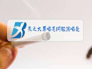 天之大原唱毛阿敏演唱是不是我们不长大