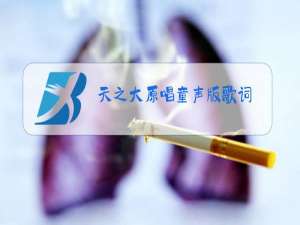 天之大原唱童声版歌词