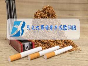 天之大原唱童声版歌词图片